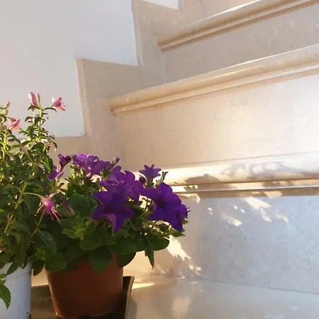 Pascoli 15 Apartment Rutigliano
